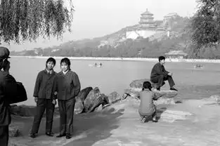 旅界专研中国民营旅游经济分析报告中
