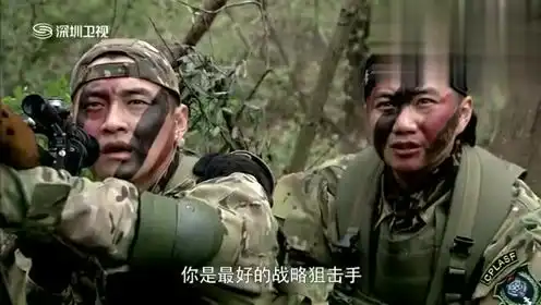 桂枫汽车说的个人频道