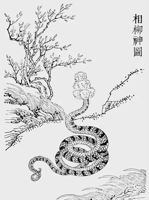 如果在路上遇到蛇神,是俯身跪拜,还是转身离开研蛇者说