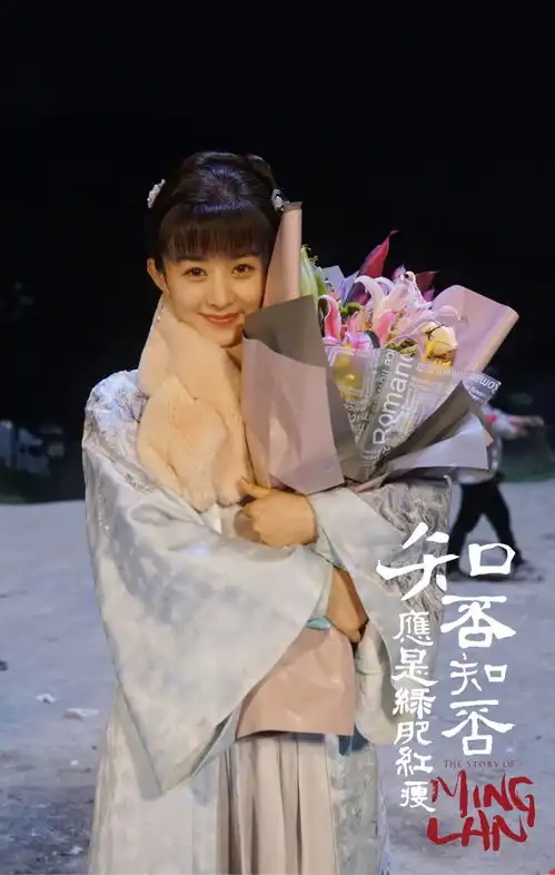 电视剧知否知否应是绿肥红瘦会大爆吗
