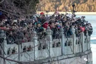 为了北京这个景,上千人挤在寒风里堪比春运
