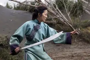 甄子丹卧虎藏龙2定档最新剧照发布