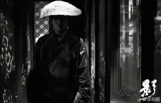 邓超孙俪主演的这部电影,海报也太酷太好看了吧
