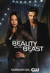 侠胆雄狮第一季剧照
