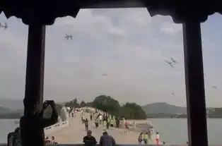 过个科普儿童节帮颐和园雨燕做体检