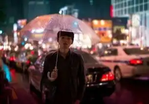 一吻定情古川雄辉美男照金贤重郑元畅各版直树
