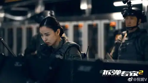 倪妮大家只关注我美不美,有点失落
