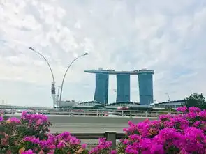 大龄亲子游带着老爸的7天狮城之旅