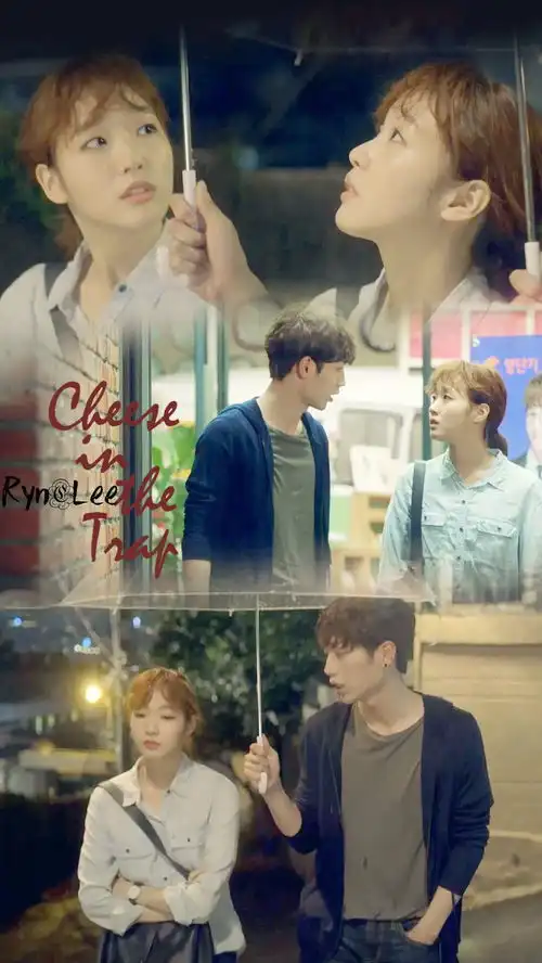 奶酪陷阱好看吗