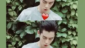 流星花园王鹤棣台词方言小课堂
