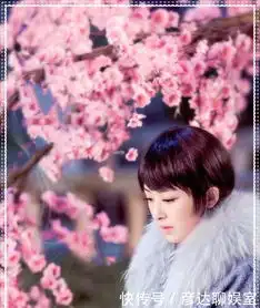 张含韵新剧短发出场,酷似妙龄少女,南烟斋笔录中认不出她
