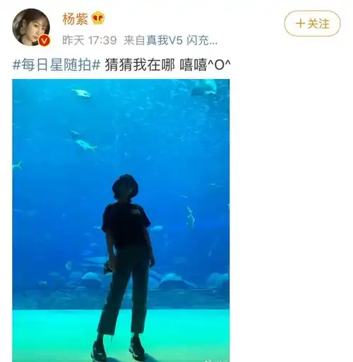 杨紫重游电视剧亲爱的热爱的拍摄地余生请多指教即将上映