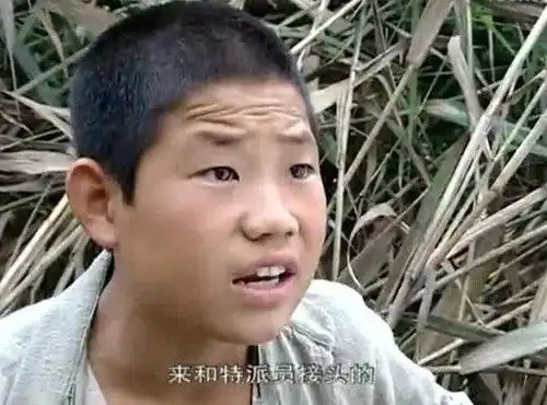 小兵张嘎18年后张一山糊了,谢孟伟被骂,矢野浩二爱上中国
