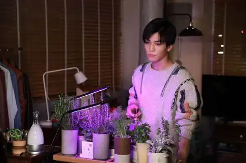 组图夏洛克特别篇剧照公开若宫会见神秘女子