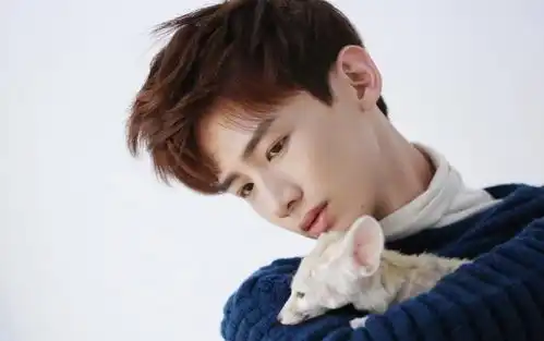 白敬亭脱鞋脱了个寂寞,城池营垒太上头,白鸽穿身上