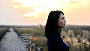 从绯闻女孩到无声斗士高圆圆拍搜索速瘦