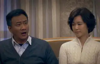 于无声处马东剧照