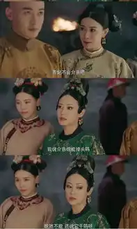 下有台词上有弹幕,延禧攻略语言文化划重点
