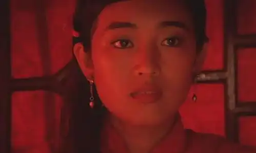 亦舒女郎,刘亦菲演大美女,一切都成立了
