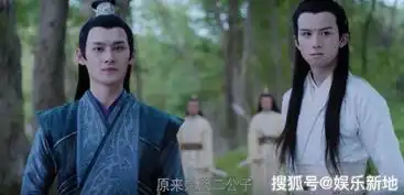 陈情令少年不可欺之金凌一哭
