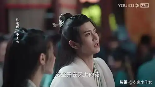 新剧与君初相识鲛人长意身世之谜揭开
