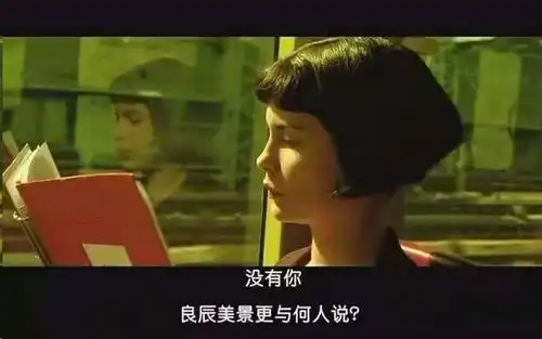 我的收藏夹