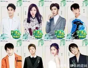 浙江卫视又出新综艺,气势不输奔跑吧,嘉宾阵容让人为之期待