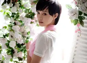 视后孙俪又迎新剧,赵丽颖为她当配角,董洁也只能做陪衬