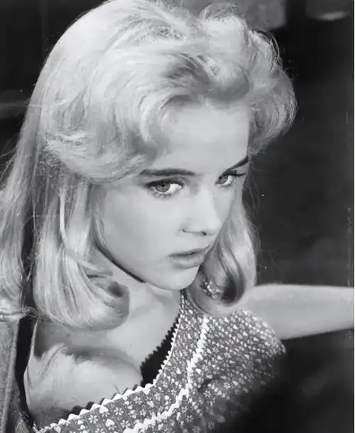 苏莱恩她曾被称完美少女,五婚五离,在监狱和杀人犯结婚
