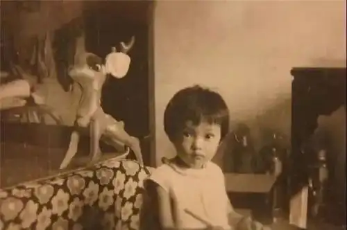 入行26年,她终于靠扫黑风暴火出圈