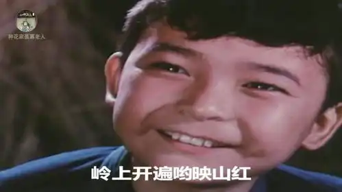 经典老电影闪闪的红星插曲映山红演唱邓玉华
