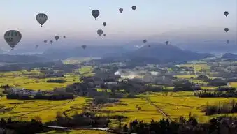 来腾冲我带你游一场腾冲界头雪山花海圣地的飞屋环游记