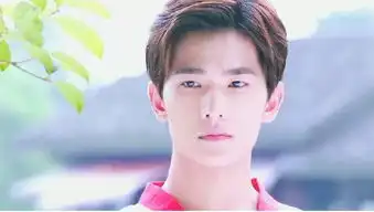 旋风少女第三季杨洋白敬亭强势回归,网友胡冰卿不见了