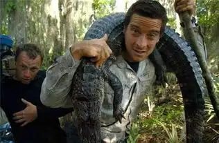 同样是探险类节目,为什么中国的演员就那么矫情
