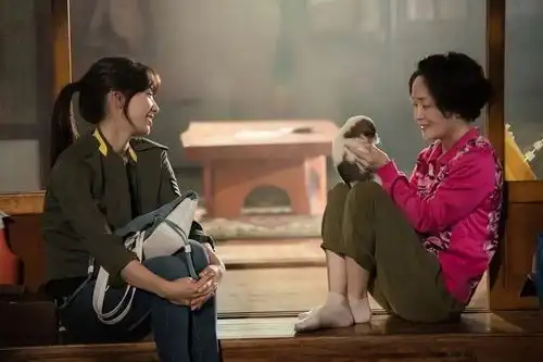 最近的韩剧doctors有人看吗真心好看强推
