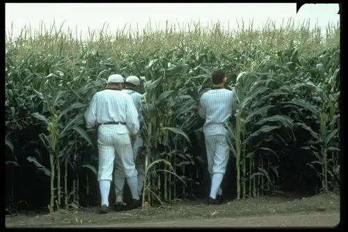 当电影照进现实凯文科斯特纳电影梦幻成真成真了