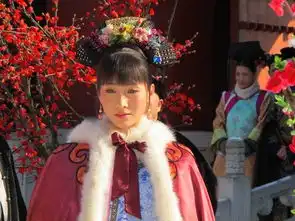 后宫甄嬛传剧照
