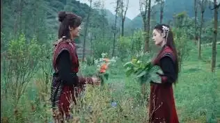 电视剧斗破苍穹萧炎送花萧薰儿,炎帮少年误入神山阴面