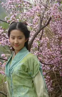 仙剑旧照胡歌的姜明很帅气,只是这林月如有点不适合
