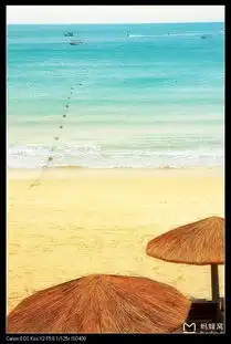 美景,只一步之遥元旦三亚行