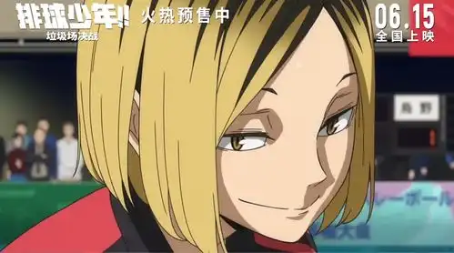 排球少年垃圾场决战过于短暂的祭典