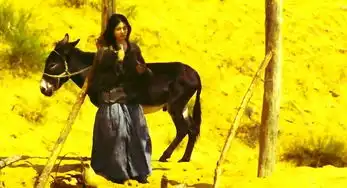 有美貌更有古装扮相盘点古装片中的经典花瓶形象