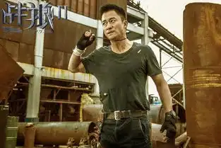 战狼2影院复映所得票房将不参与分账