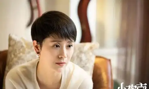 小欢喜变小悲伤,童文洁生二胎背后,是中年人的无奈
