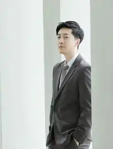 非典型反派苗驰的双面舞台