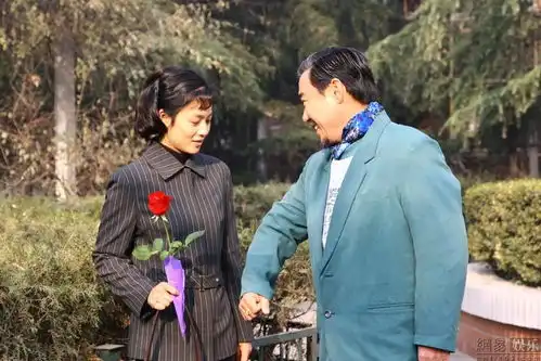 金婚风雨情探班花絮