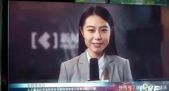 惹上冷殿下司徒枫歌曲疑似抄袭
