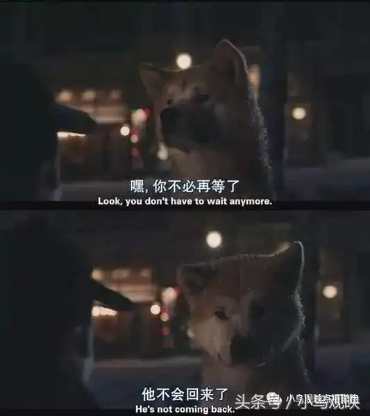 小鸟观映点播院线丨我喜欢旅行,却不喜欢到达目的地