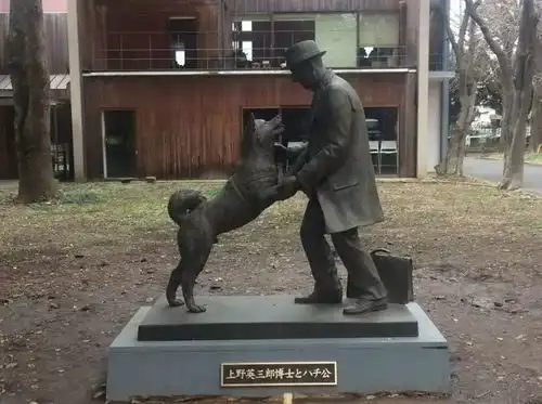 卍物志这才是真的忠犬八公遭人驱赶,被小孩欺负,好在最后它仍和教授重逢