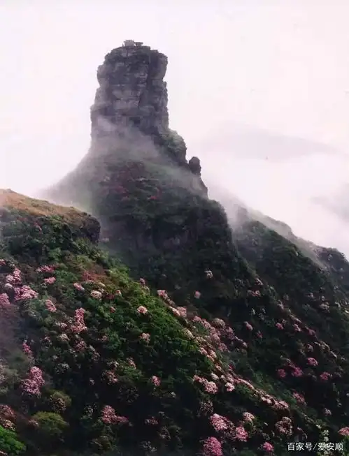 天空之城,梵净山